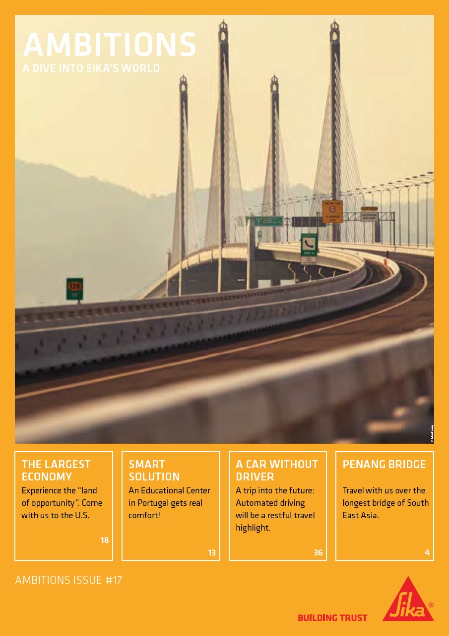 AMBITIONS ISSUE #17